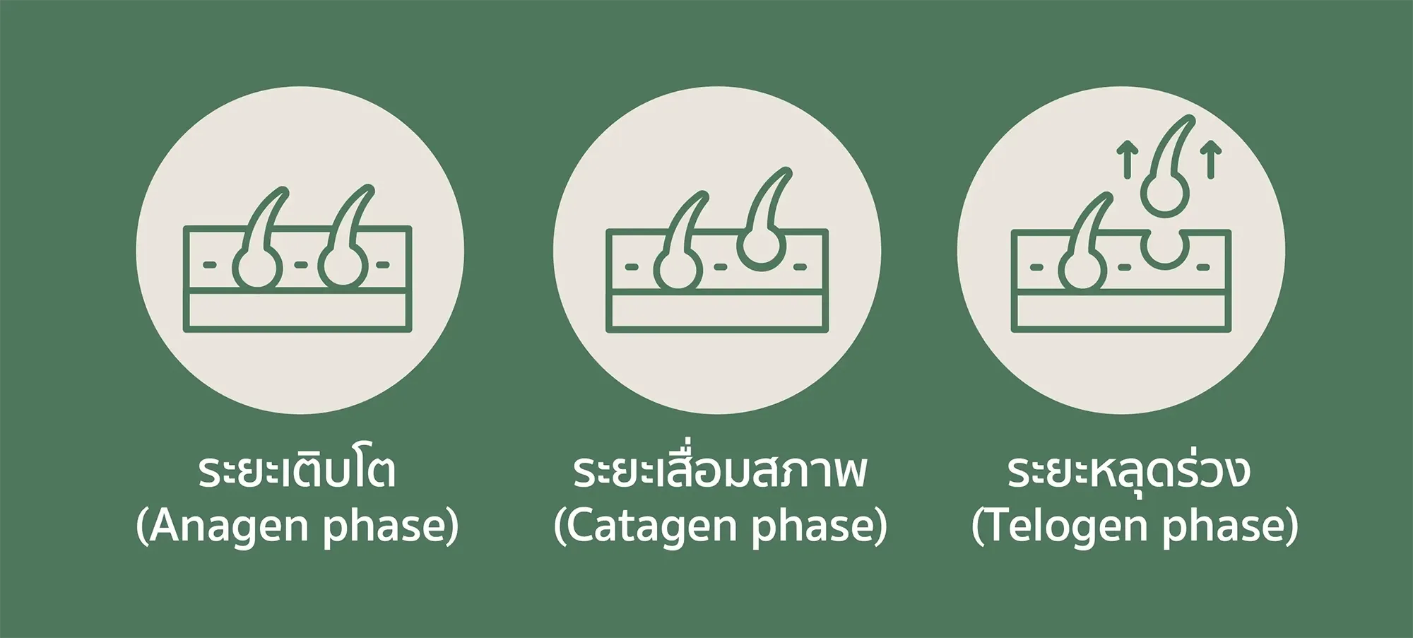 Diode Laser_Web2.webp
