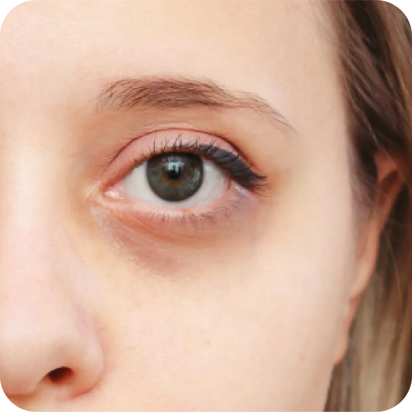 Asset 103000.webp