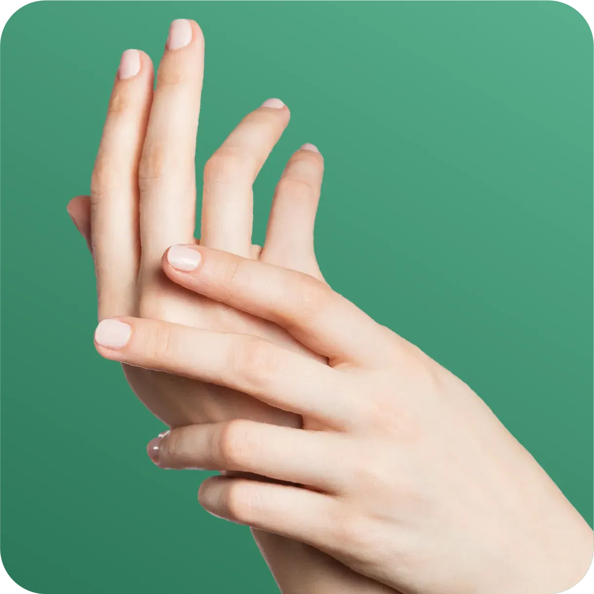 Asset 33000.webp