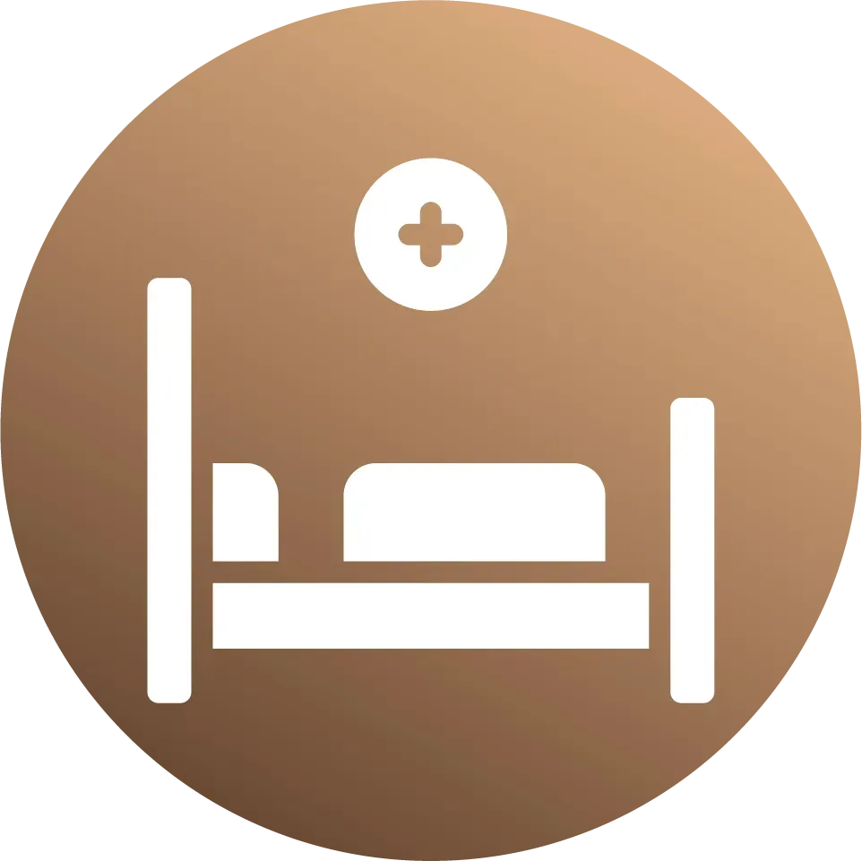 Asset 393000.webp