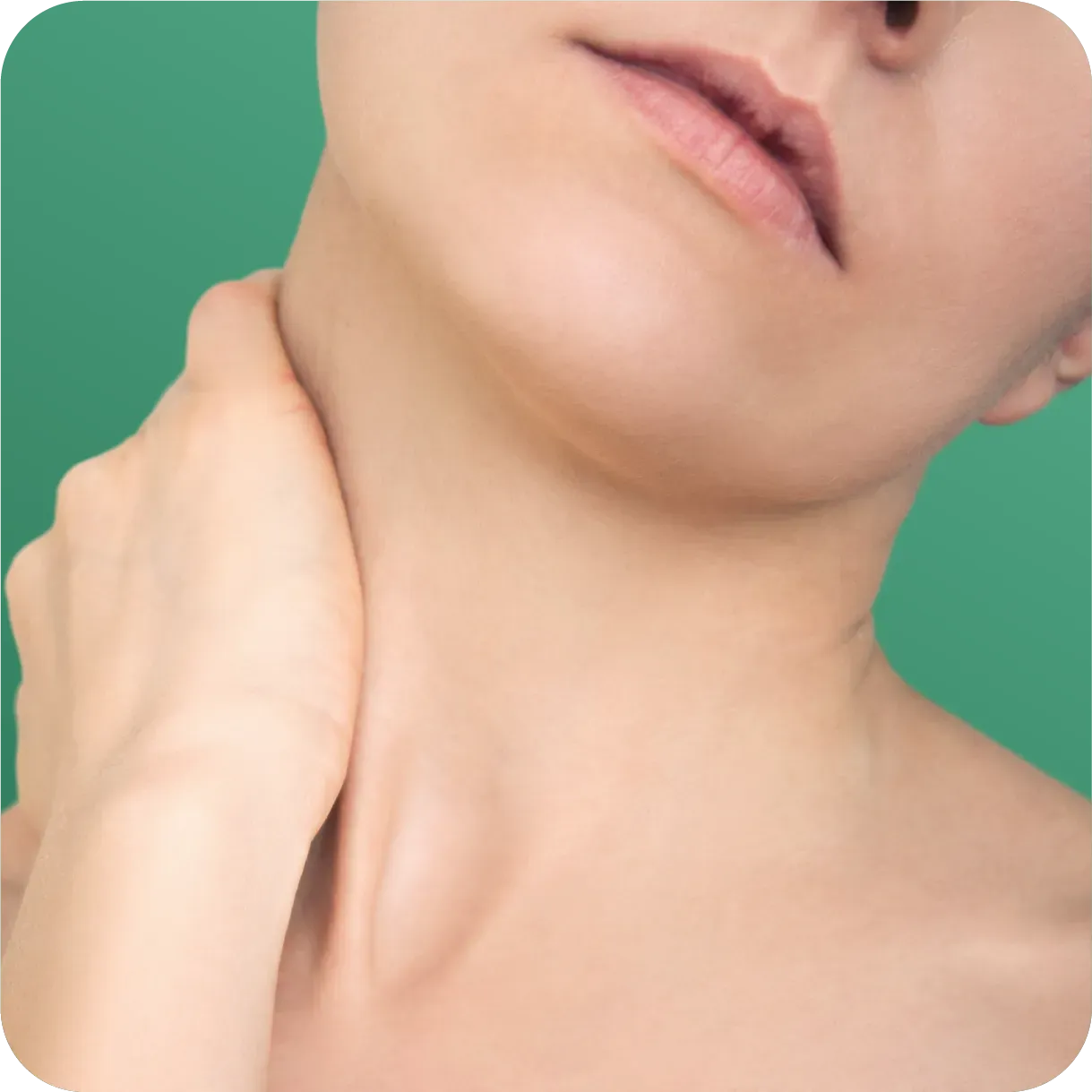 Asset 43000.webp