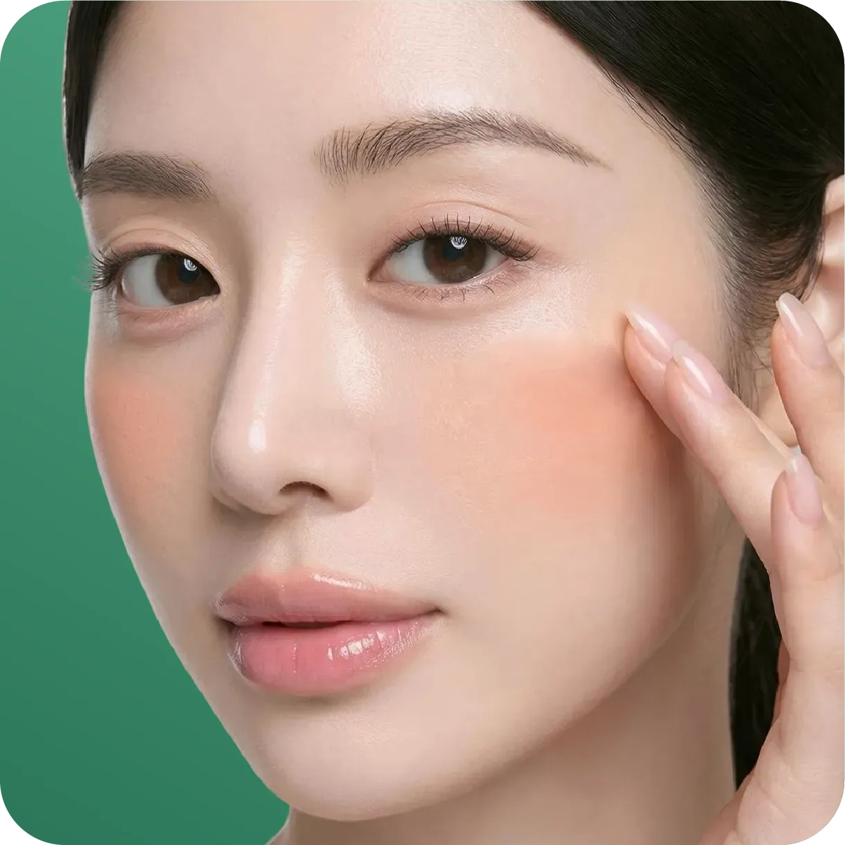 Asset 53000.webp